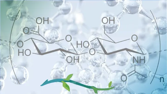 Hyaluronic Acid: The Magic Molecule
